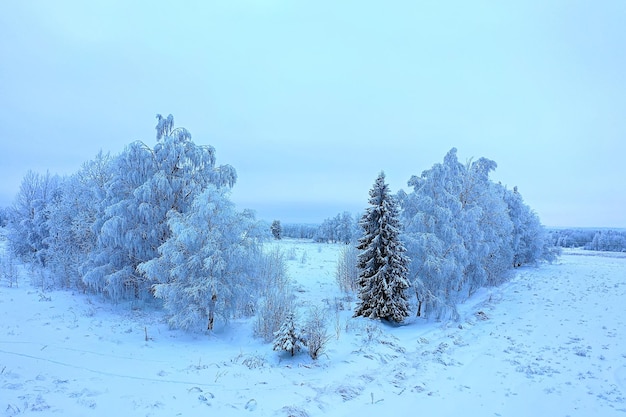 árboles escarcha drone, vista abstracta fondo diciembre paisaje al aire libre árboles nieve