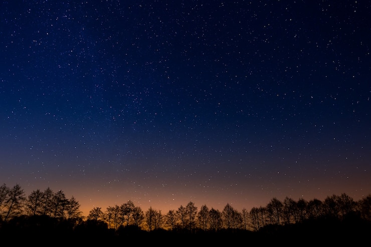 Foto árboles en un fondo del cielo estrellado de la noche