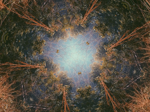 Árboles iluminados contra el cielo por la noche