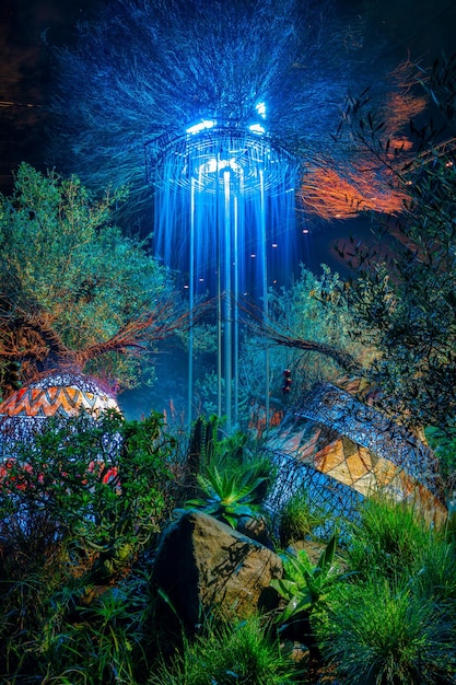 Árboles iluminados por el mar por la noche