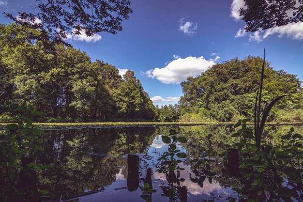 Foto Árboles junto al lago contra el cielo