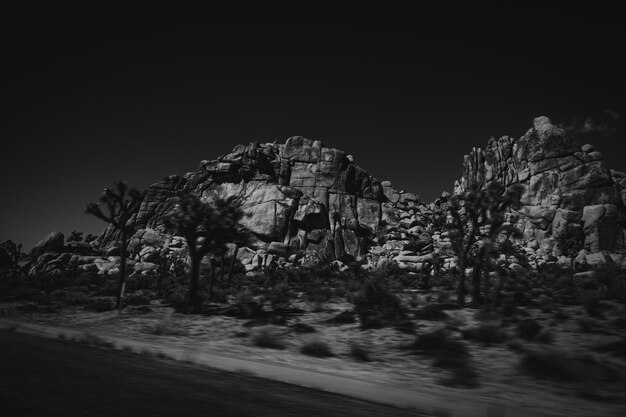 Foto Árboles junto a las rocas contra un cielo despejado