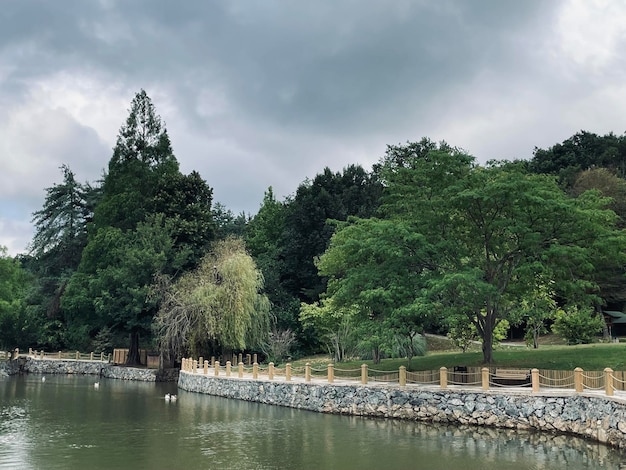 árboles y lagos del parque natural