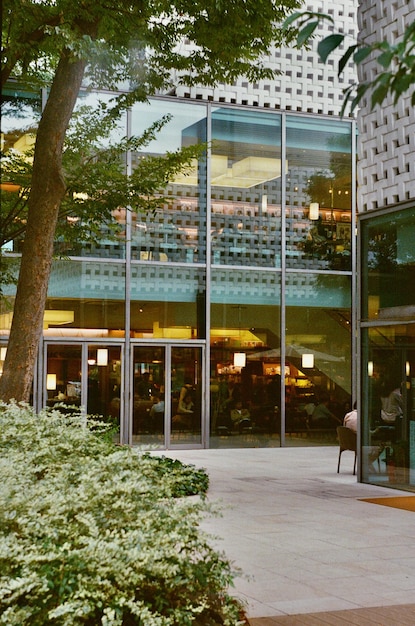 Foto Árboles por librería en tokio, japón