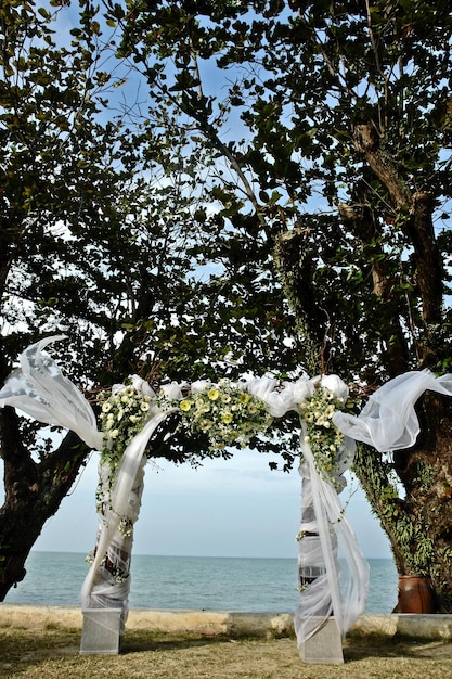 Árboles por el mar contra el cielo