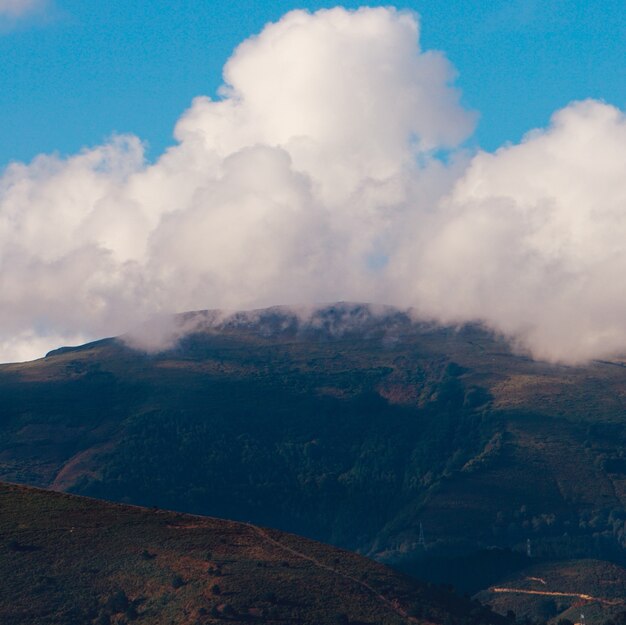 árboles en la montaña, la naturaleza y el paisaje en Bilbao, España