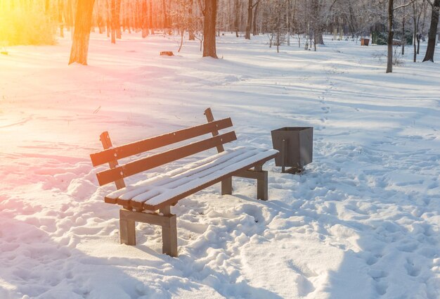 Foto Árboles nevados en el parque de la ciudad