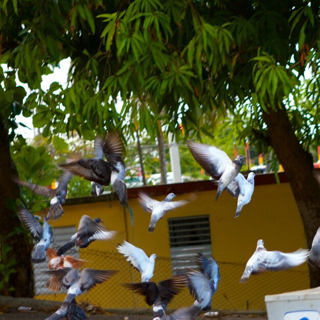 Foto Árboles en la oscuridad