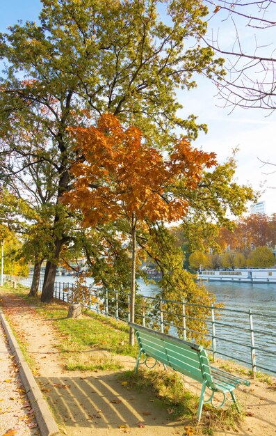 Los árboles de otoño en Ile aux Cygnes París Francia