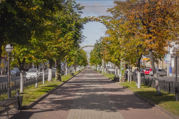 Árboles en otoño