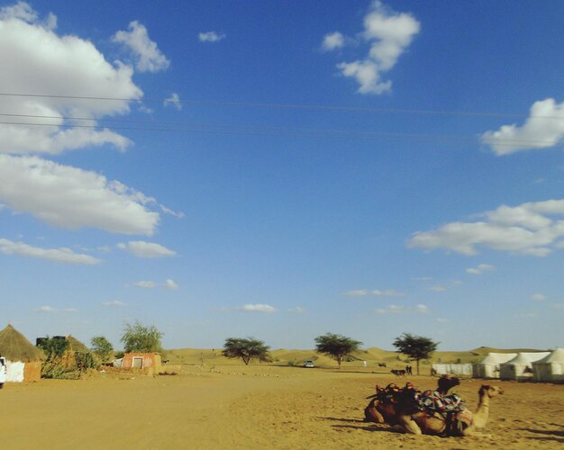 Foto Árboles en el paisaje contra el cielo nublado