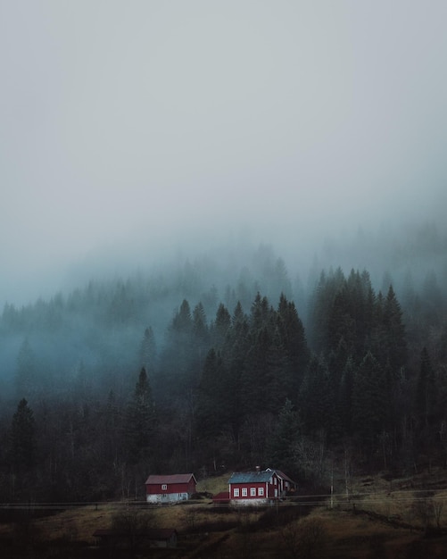 Foto Árboles en el paisaje contra el cielo