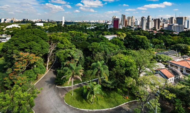 Foto Árboles y paisaje urbano contra el cielo