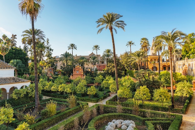 Foto Árboles de palam, fuentes y vegetación en los jardines del real alcázar de sevilla.