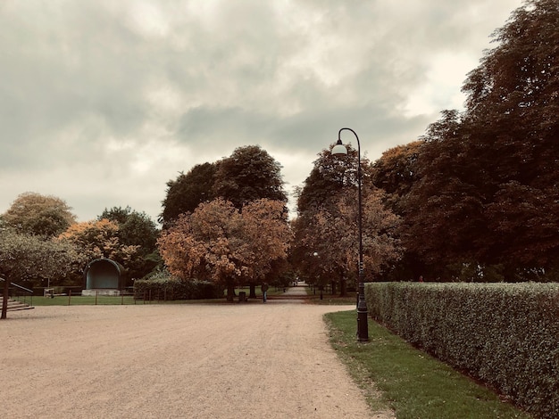 Foto Árboles en el parque contra el cielo