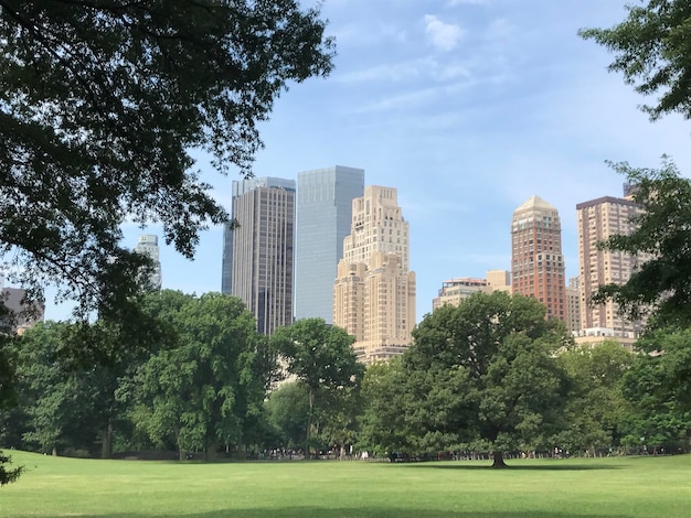 Foto Árboles en el parque contra edificios en la ciudad contra el cielo