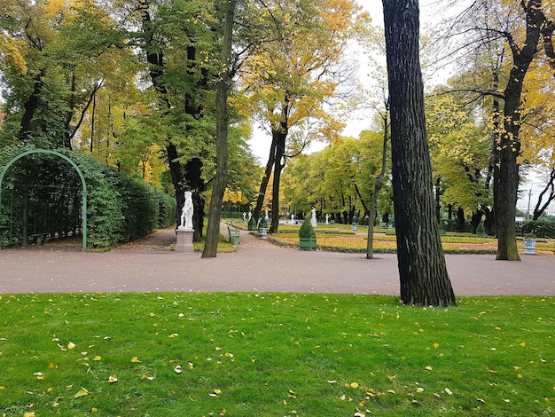 Árboles en el parque durante el otoño