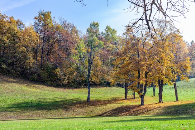 Foto Árboles en el parque durante el otoño