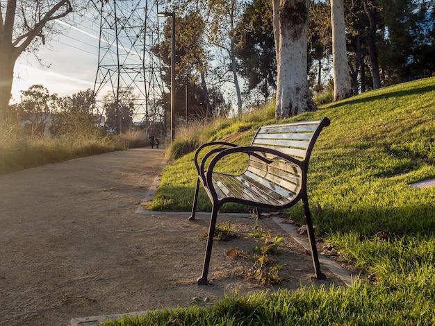 Foto Árboles en el parque