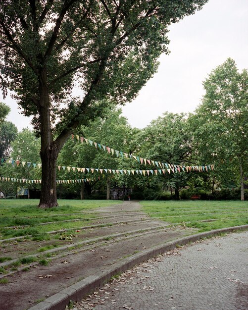 Foto Árboles en el parque