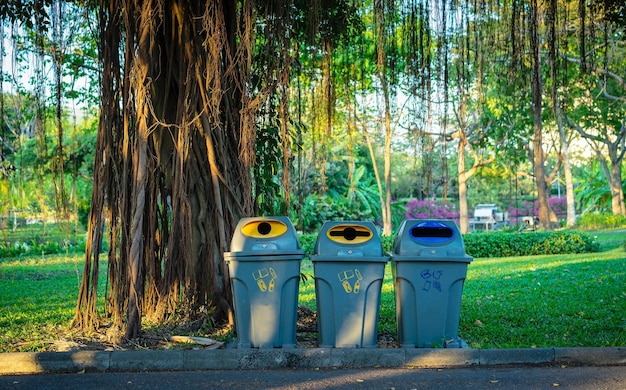 Foto Árboles en el parque