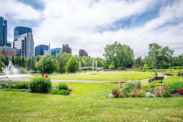 Foto Árboles y plantas en el parque contra edificios en la ciudad