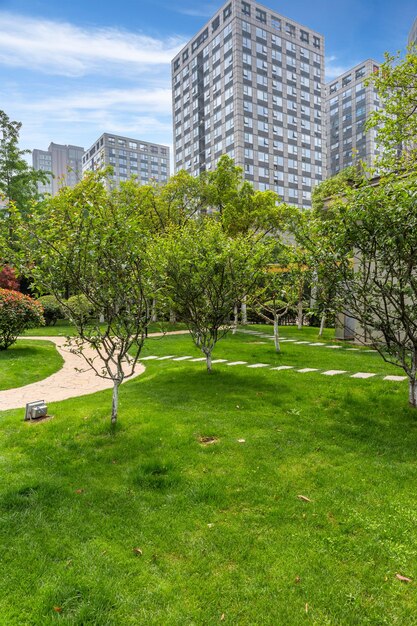 Foto Árboles que crecen en el campo contra los edificios de la ciudad