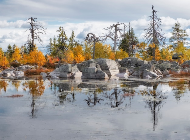 Foto Árboles retorcidos vivos y muertos se reflejan en el agua de un lago en la cima de la montaña mística vottovaara en karelia en el norte de rusia, en otoño