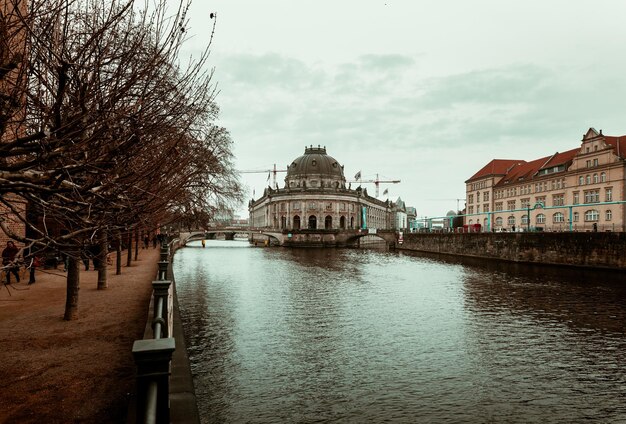 Foto Árboles por río y edificios en la ciudad