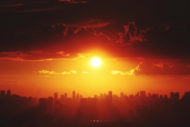 Árboles de silueta contra el cielo durante la puesta de sol