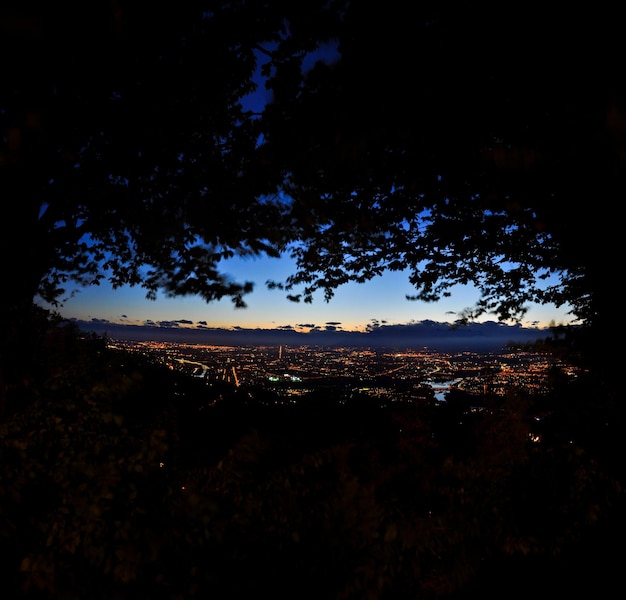 Foto Árboles de silueta en el paisaje contra el cielo por la noche