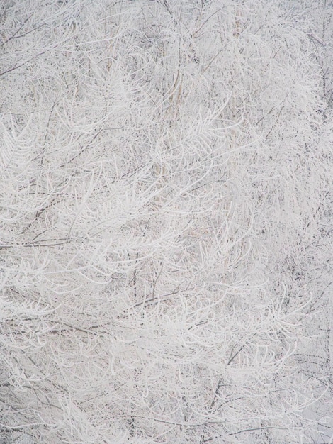 Árboles en una temporada de invierno cubiertos de helada imagen abstracta