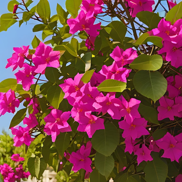 un arbusto con flores púrpuras que dicen primavera