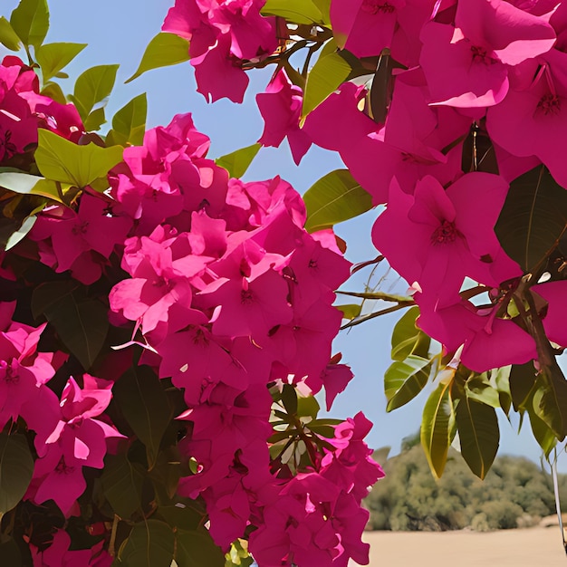 Foto un arbusto de flores rosadas con la palabra en él