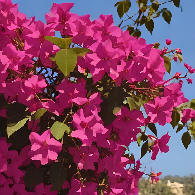 Foto un arbusto con flores rosadas que dicen primavera en él