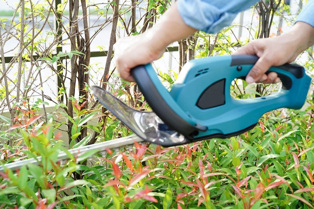 Arbusto de recorte de jardinero con cortasetos eléctricos en el jardín Hobby en casa