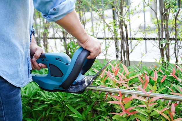 Arbusto de recorte de jardinero con cortasetos eléctricos en el jardín Hobby en casa