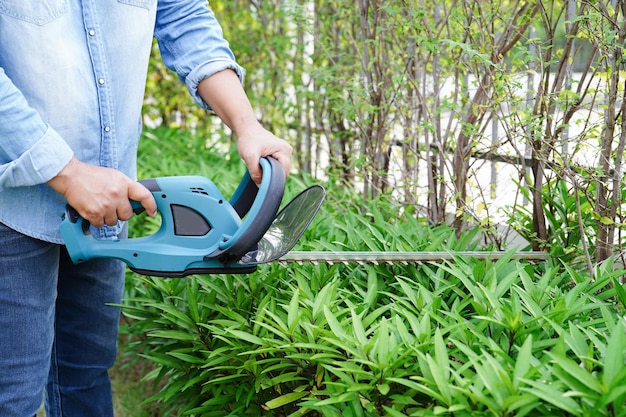 Arbusto de recorte de jardinero con cortasetos eléctricos en el jardín Hobby en casa