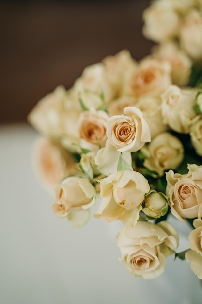 Foto arbusto de rosas en un jarrón de color delicado