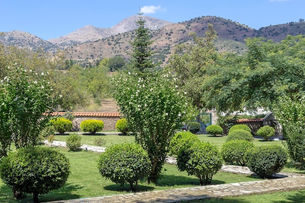 Arbustos e árvores de gramados de design paisagístico no parque em um dia de verão Acaia Grécia Peloponeso