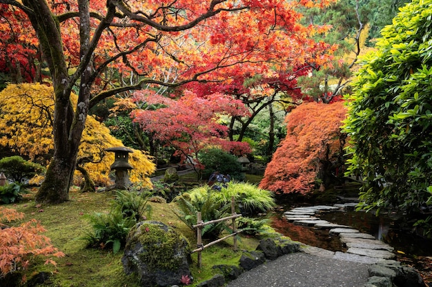 Arces japoneses de otoño en el sitio histórico nacional Butchart Gardens, Canadá