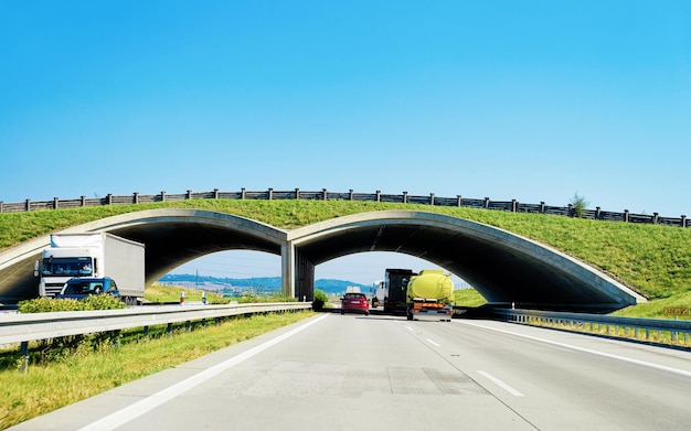 Arch Bridge na estrada Road, Maribor na Eslovénia