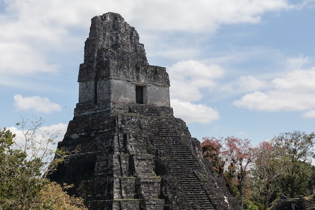 Archäologische Ausgrabung der Maya-Tempelpyramide im grünen Regenwald des Tikal-Nationalparks