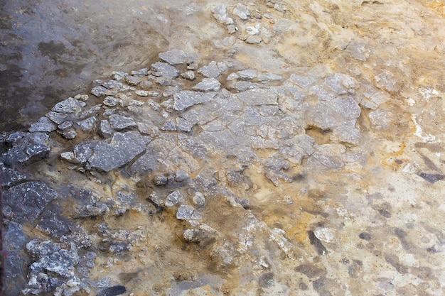 Archäologische Ausgrabungen, Reste der Siedlung, Fossilien der Skythen