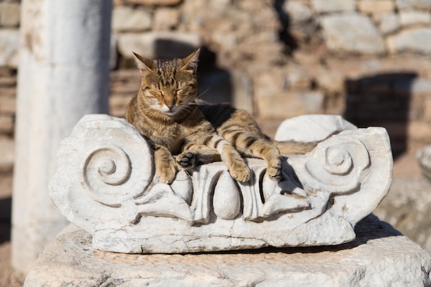 Architekturordnung in der antiken Stadt Ephesus