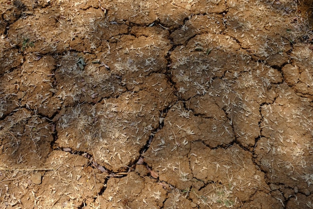 arcilla agrietada en la estación seca. El cambio climático hace que el clima sea impredecible. calentamiento global.