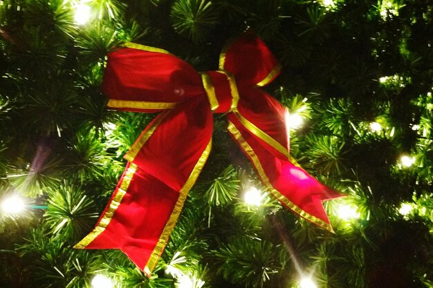 Foto arco en el árbol de navidad