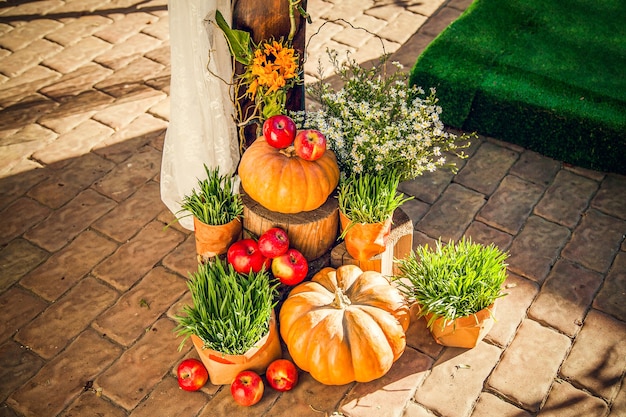 Arco de boda para ceremonia de boda fuera del sitio, decorado en tema otoñal con calabazas.