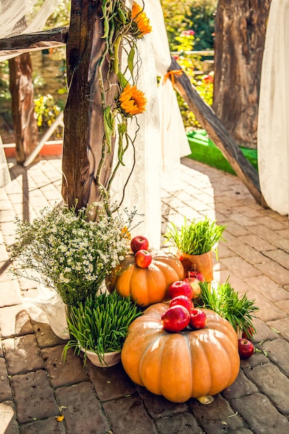 Arco de boda para ceremonia de boda fuera del sitio, decorado en tema otoñal con calabazas.