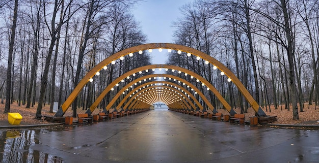 arco de madeira no parque de outono à noite pendurado com lâmpadas